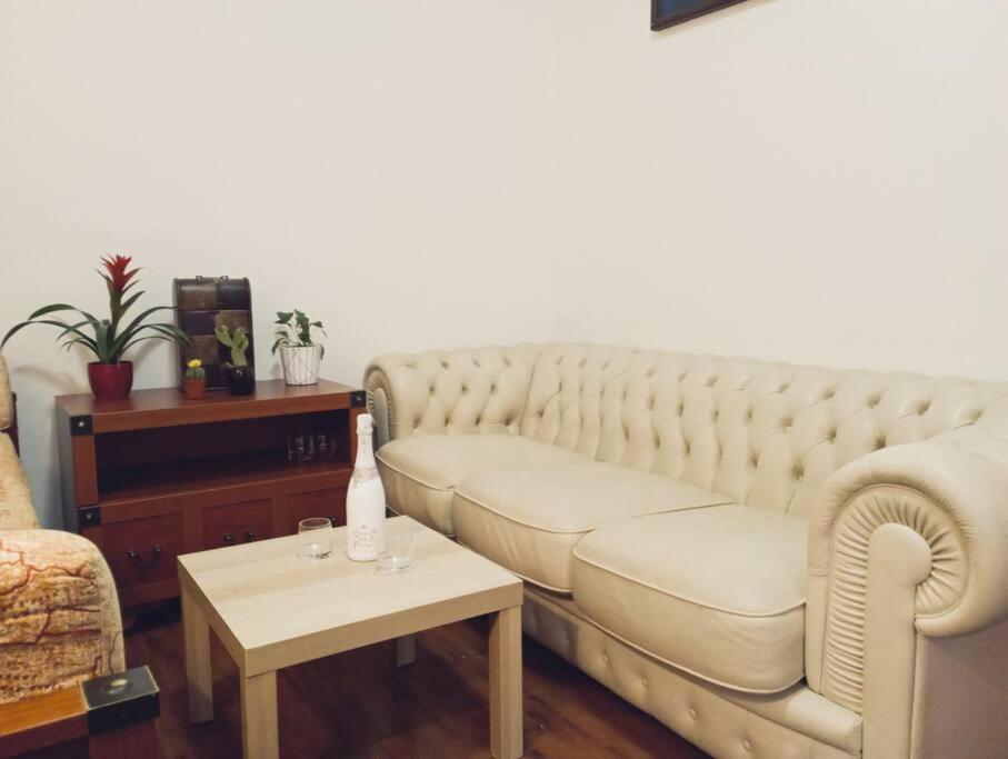 Apartment Captain Nemo Praga Zewnętrze zdjęcie
